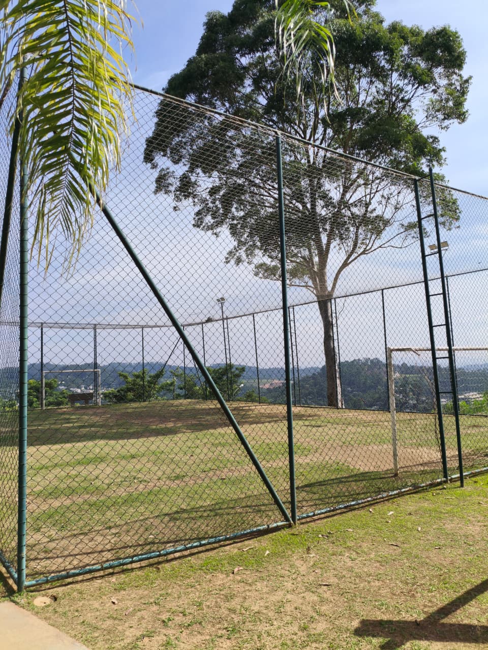 Campinho de futebol gramado com traves, alambrado e árvore eucalipto ao fundo, com vista para a paisagem