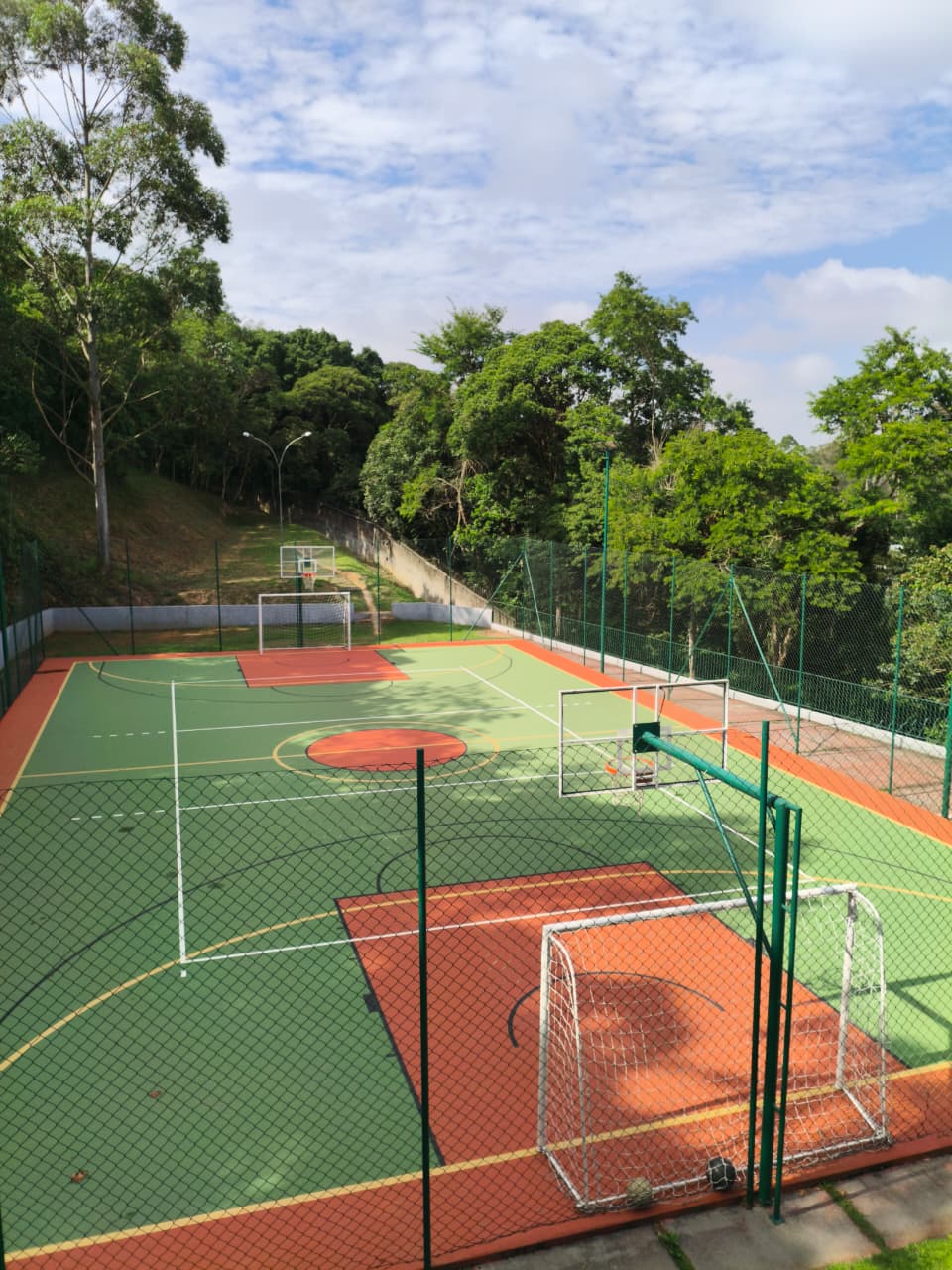 Quadra esportiva com piso verde, rede e alambrado, com eucaliptos ao fundo