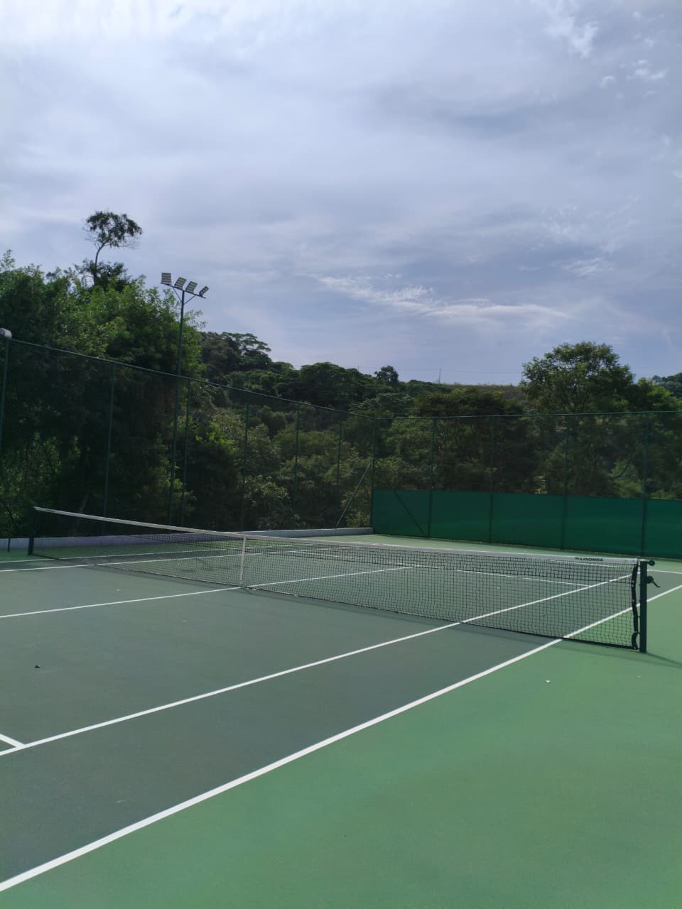 Quadra de tênis com piso verde, linhas brancas e mata nativa ao fundo