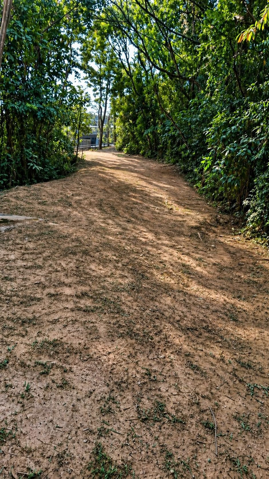 Trecho aberto da trilha com vista para a portaria do residencial ao fundo